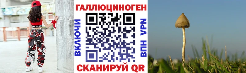 Псилоцибиновые грибы мицелий  наркота  Кыштым 